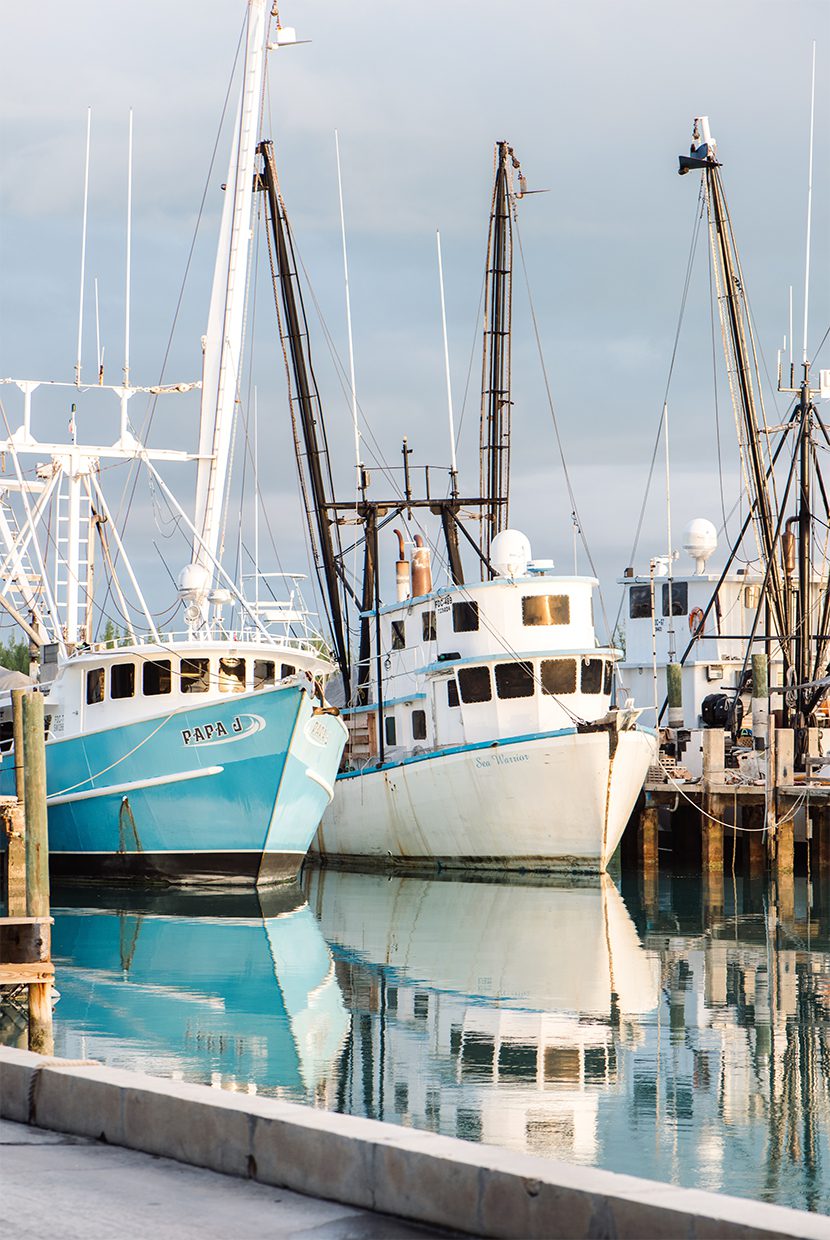 Fishing boats