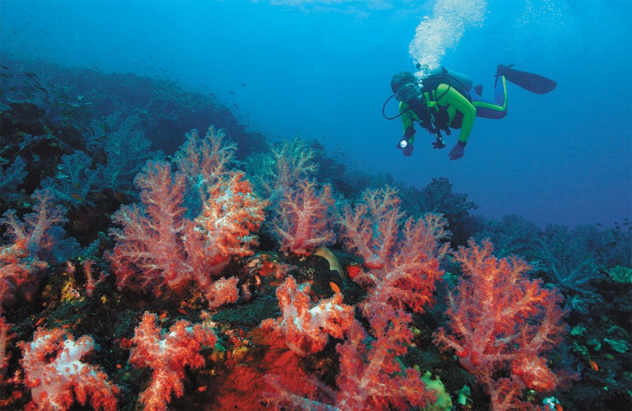 Barren Island - Andaman & Nicobar Islands, India Barren Island - Andaman & Nicobar Islands, India