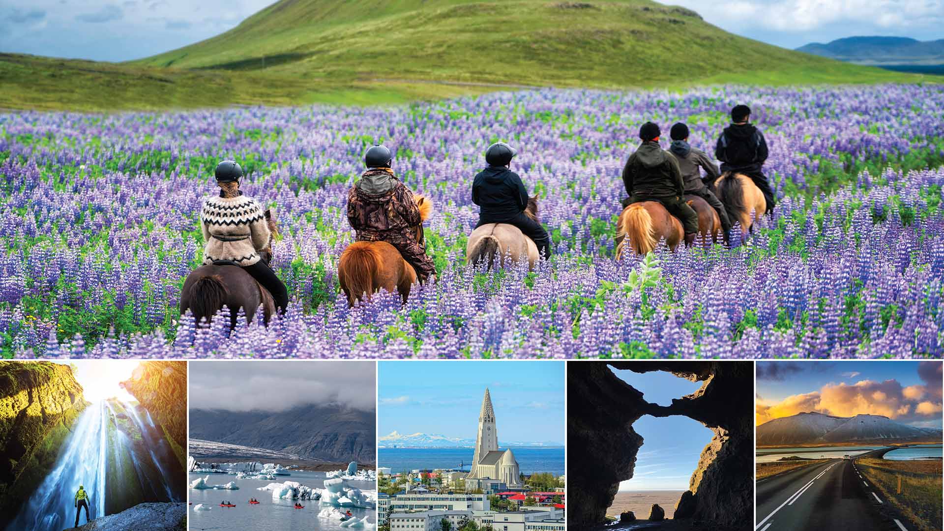 Puffins, Whales, Horse Riding To Lava Fields: Iceland’s Epic Trip Ahead Puffins, Whales, Horse Riding To Lava Fields: Iceland's Epic Trip Ahead